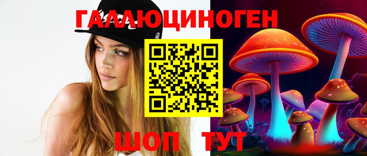 Тулун  Псилоцибиновые грибы ЛСД  Вход с VPN 